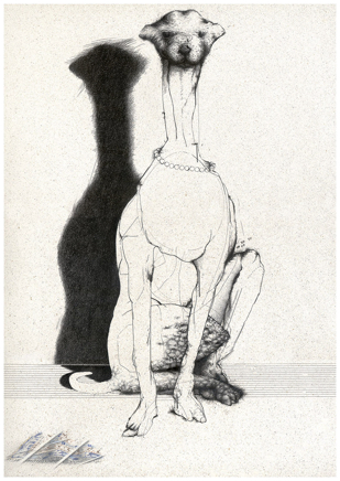 Mongrel Dog 420x300mm 1978 ink, coloured pencil.jpg