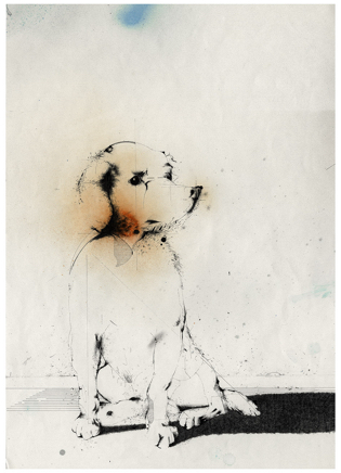 Mongrel Dog 450x134mm 1978 ink, gouache.jpg