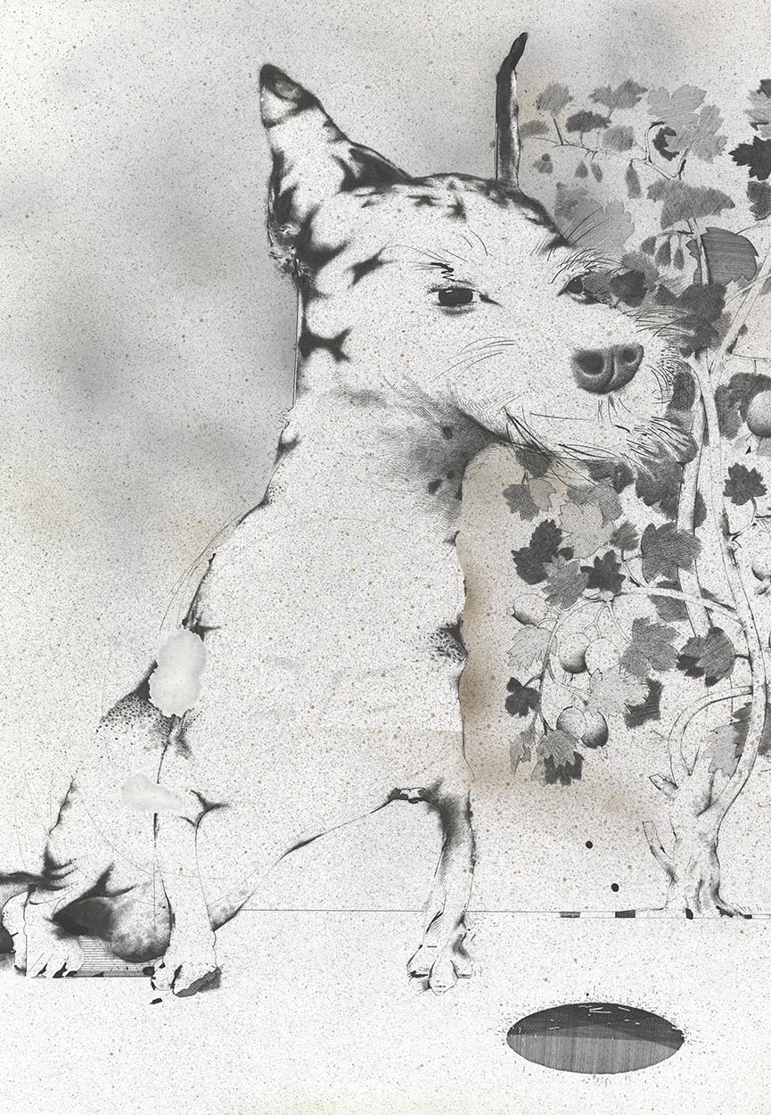 'Crossbreed VI (with plant)' ink, watercolour 420x600mm 1978