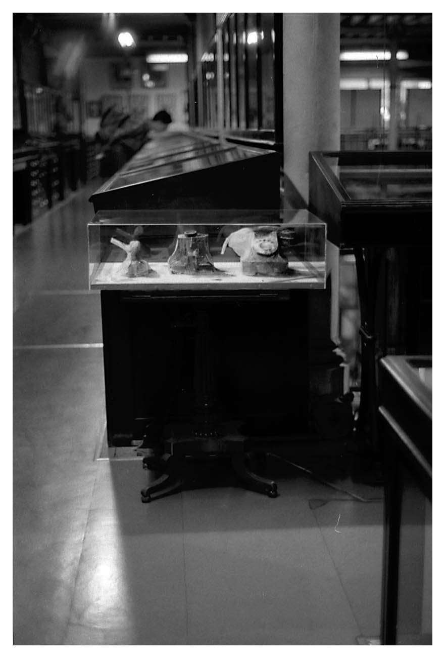 The Camera,the Telephone and the Smoothing Iron . corridor shot, Pitt Rivers Mueum, Oxford