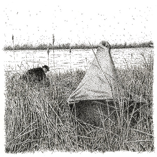 hiding